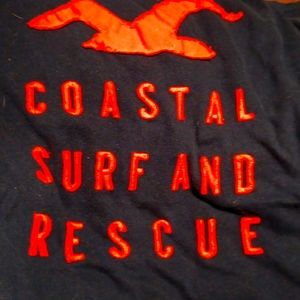 Hollister t shirt